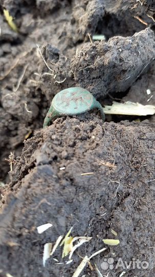 Кольцо Грифон