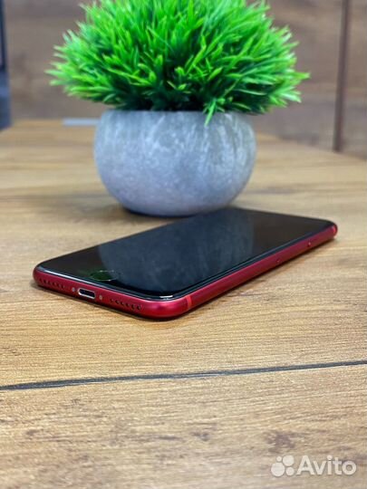 iPhone SE (2020), 64 ГБ
