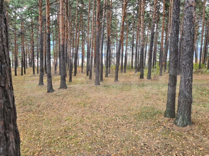 Участок 52 сот. (ИЖС)