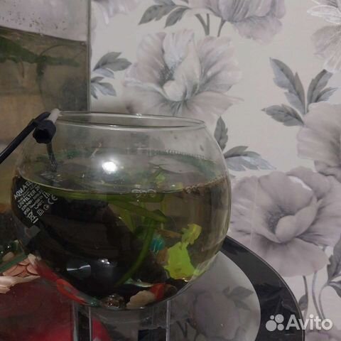 Аквариум и 10рыбок