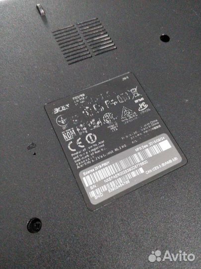 Acer extensa 2519