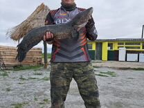 Рыбалка с Гидом - Тур "Охота на Змееголова"