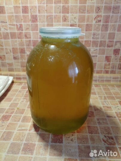 Мед цветочный 2023