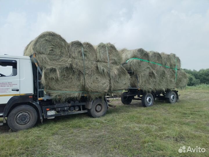 Продам сено 2024г. Разнотравие