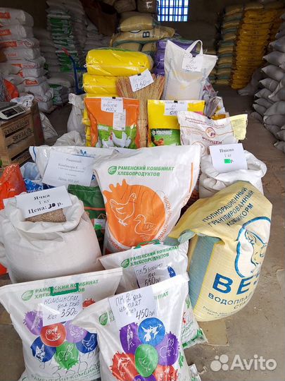 Зерно, комбикорм для с/х животных и птиц в асс