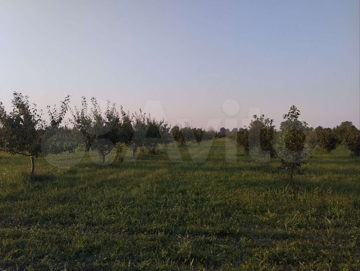 Участок 2000 га (СНТ, ДНП)