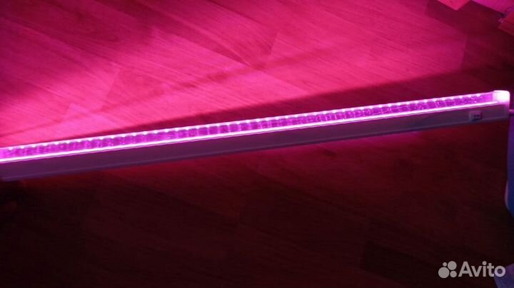 Подцветка для рассады