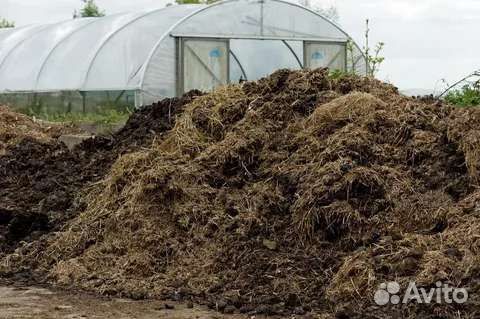 Навоз Перегнои Земля Торф Глина