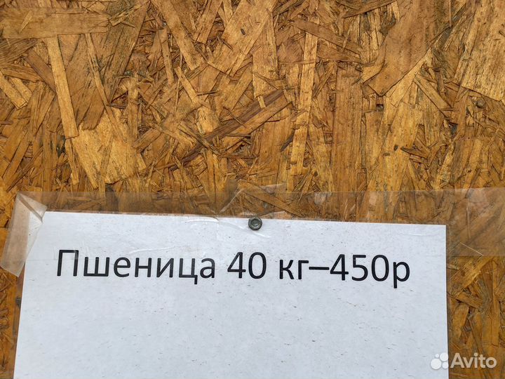 Зерно пшеница ячмень кукуруза овес комбикорм