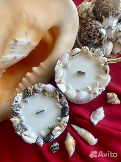 Ароматическая свеча с морскими раковинами