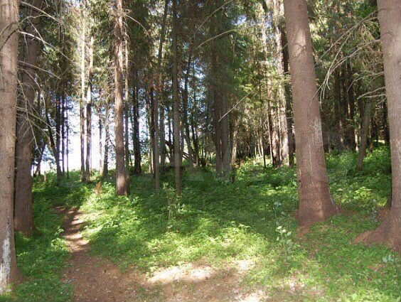 Участок 1,11 га (СНТ, ДНП)