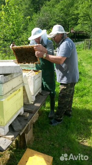 Пакеты пчел