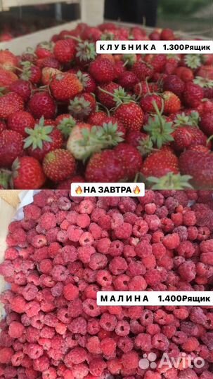 Свежая клубника