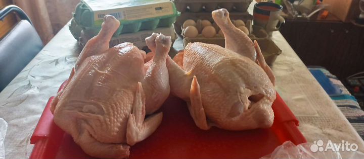 Мясо домашнего бройлера