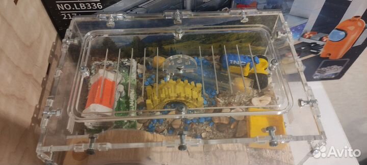 Муравьиная ферма