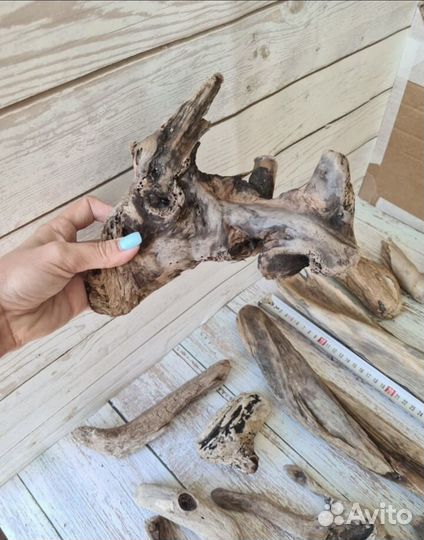 Коряги дрифт вуд