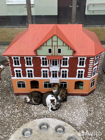 Экскурсии на Куршскую косу