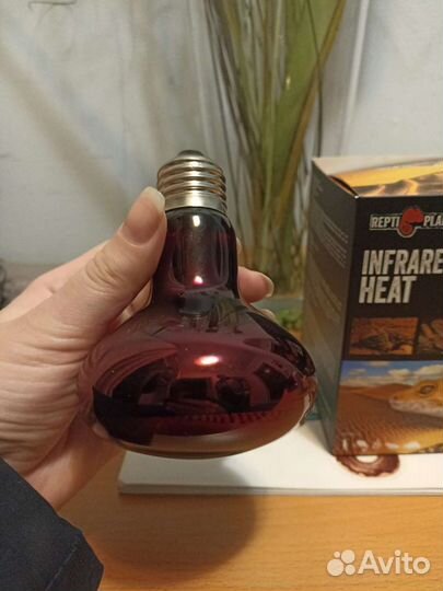 Лампа красная для рептилий 100 в