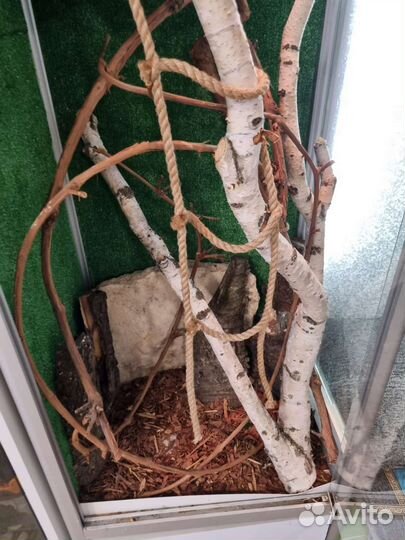 Террариум для рептилий бу