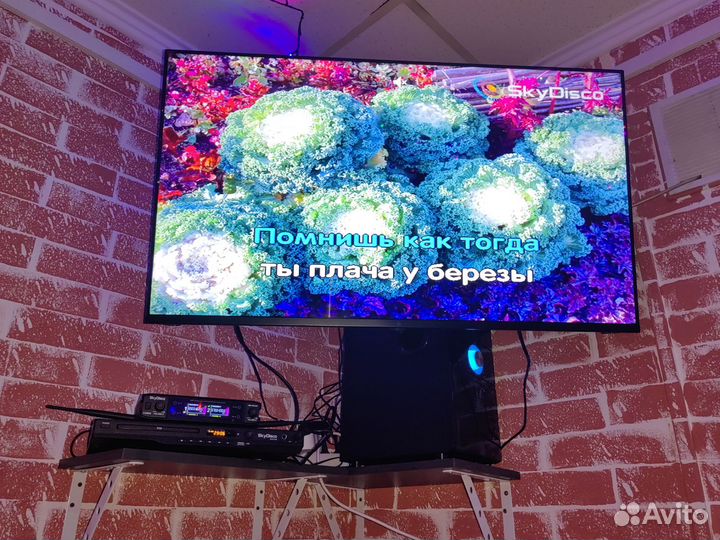 Действующий пивбар