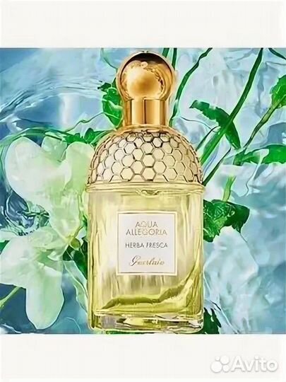 Guerlain aqua allegoria herba fresca