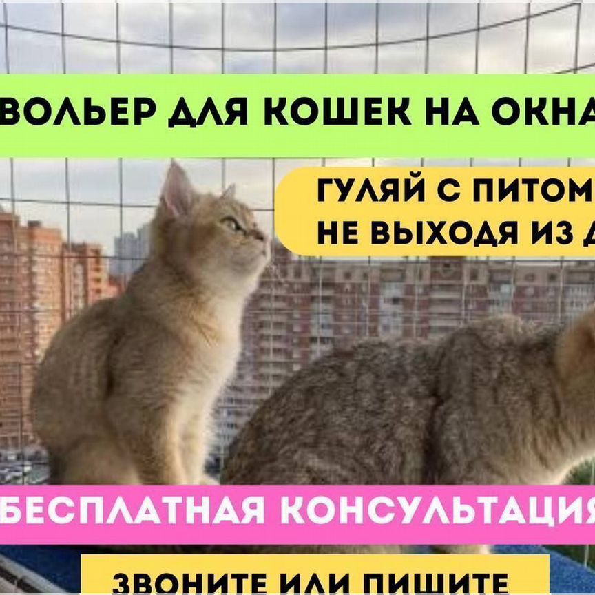 Вольер для кошек на окна