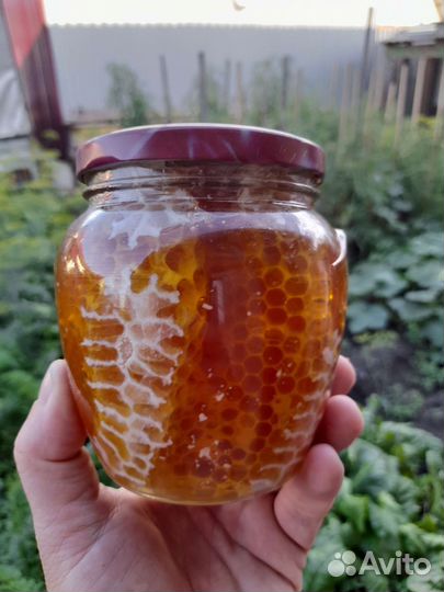 Мёд с собственной пасеки урожай 2024