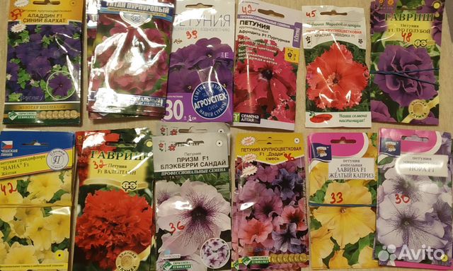 Семена цветов