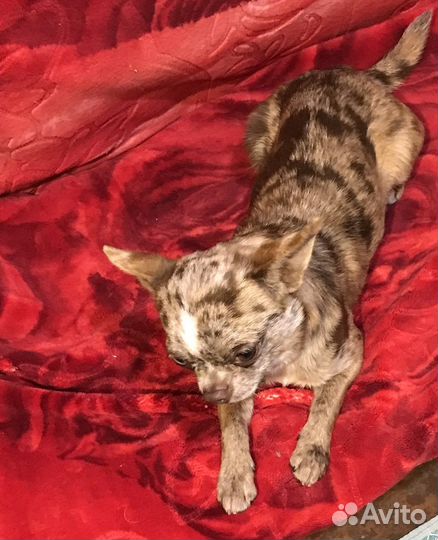 Мальчик с документами