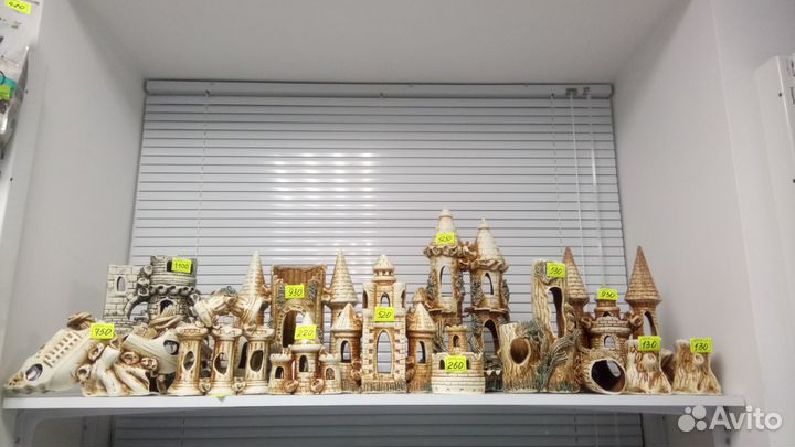 Аквариумные рыбки