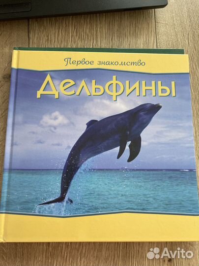 Книга Дельфины