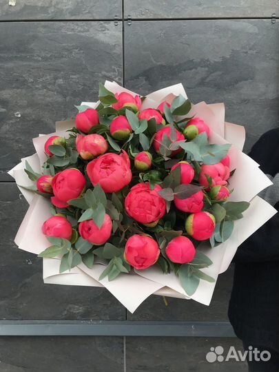 Пионы коралл сансет премиум букет доставка