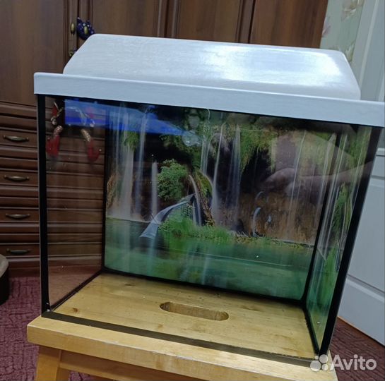 Аквариум