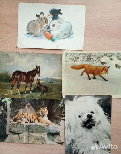 Открытки Мишки и др. Звери. СССР