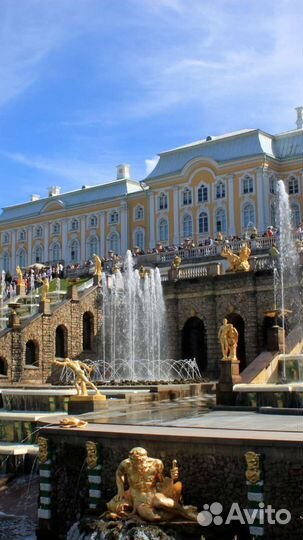 Трансферы. VIP экскурсии