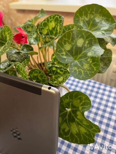 iPad 8 2020 Cellular 32g+Smart Folio