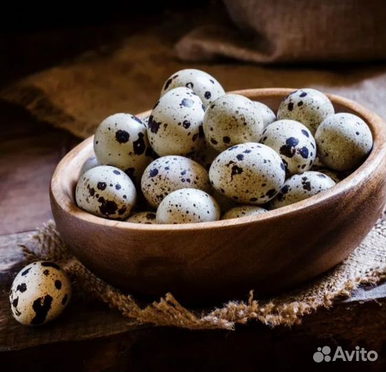 Яйца перепелиные домашние