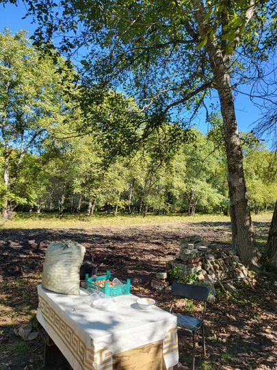 Участок 7 га (СНТ, ДНП)