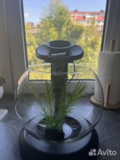 Аквариум tetra