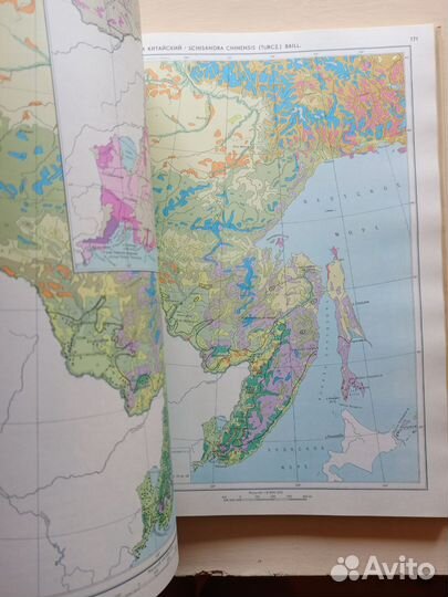 Атлас ареалов и ресурсов лекарственных растений