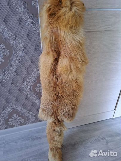Шкура лисы
