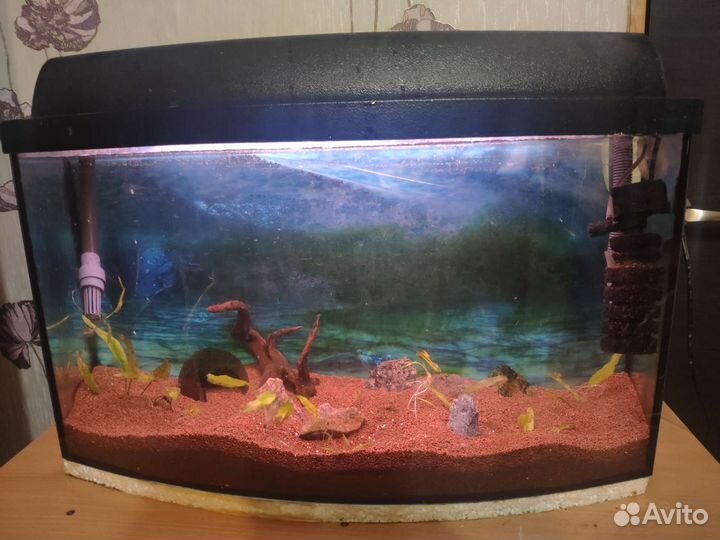 Аквариум на 50 литров