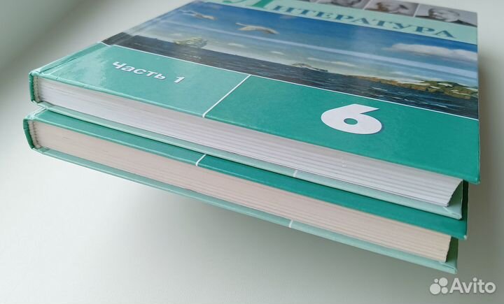 Литература Полухина Коровина 6 класс