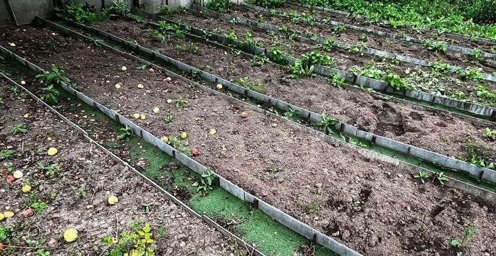 Дача 50 м² на участке 6,5 сот.