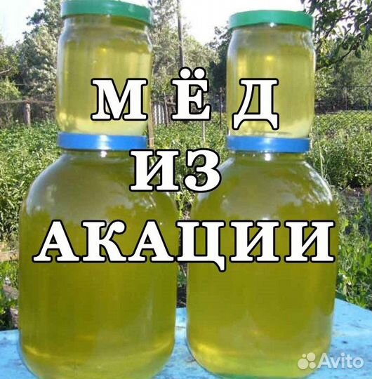 Акациевый Мед Натуральный 2023 г - жидкий