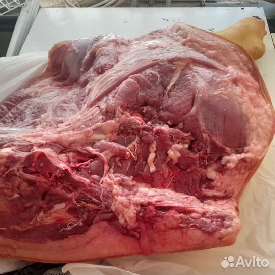 Мясо свинина домашняя