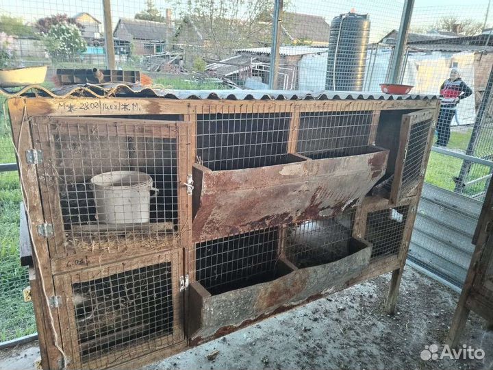 Клетка для кролика