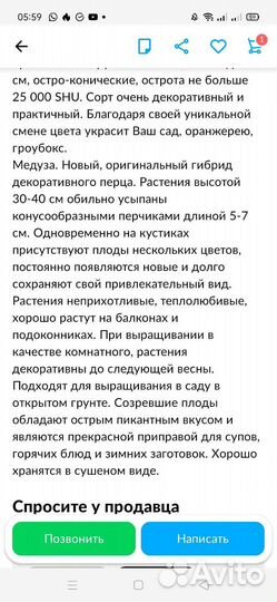 Рассада перцев