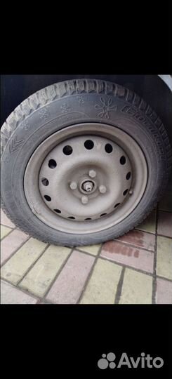 Accelera Alpha 185/65 R14