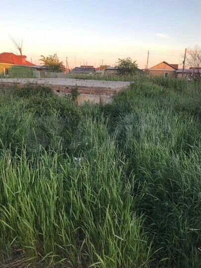 Участок 5,5 сот. (ИЖС)